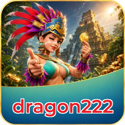 Audit profile dragon222